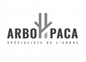 Arbo Paca